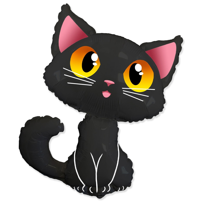 31 Черный кот 1