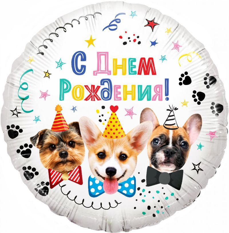 444b0234_b3b8_11eb_9220_3cecef035c95_3b74c9a0_2ec2_11ec_9220_3cecef035c95 Собачки, С Днем Рождения! 1